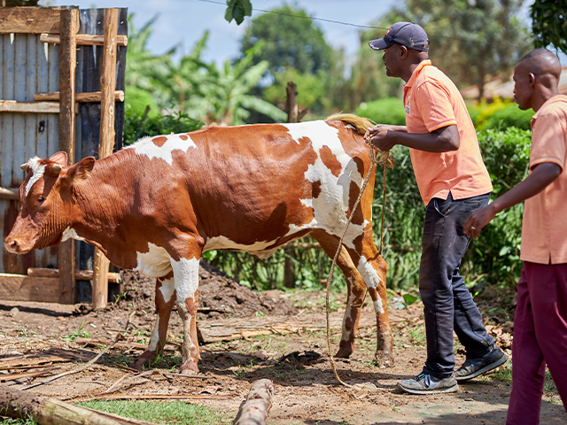 Small Business Development